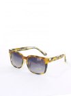 Glassy Sun Haters Stefan Janoski Sunglasses - Tortoise