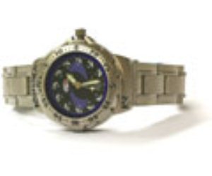 255-056L Stainless Steel Ladies Watch