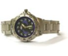 255-056L Stainless Steel Ladies Watch