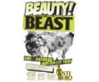 Beauty And The Beast Dvd