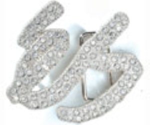 Bling Buckle