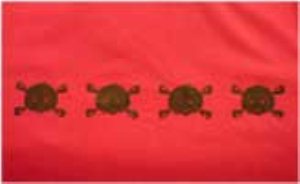 Burgi Orange T-Shirt