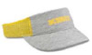 Dart Trucker Visor