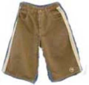 Draft Includer Shorts