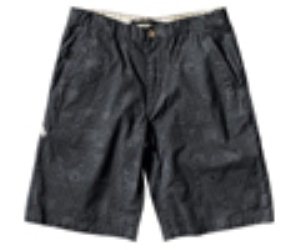 Explorer Shorts