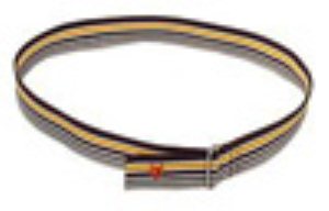 Faded Lines Web Belt