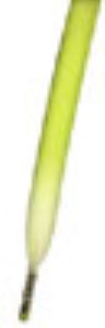 Fadies Neon Lime Laces