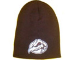 Falcon 2 Beanie