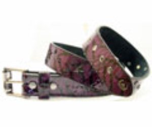 Fallen Studded Belt - Purple/Black Snakeskin With Black