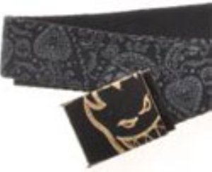 Gold Skulled Web Belt