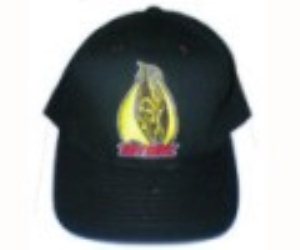Hawk Pterodactyl Flexfit Cap