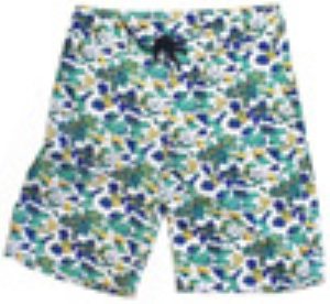 Hudson Board Shorts