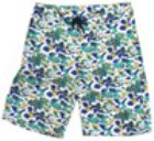 Hudson Board Shorts