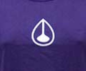 Icon Capped S/S Tee