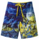 Iron Maiden X Vans Board Short