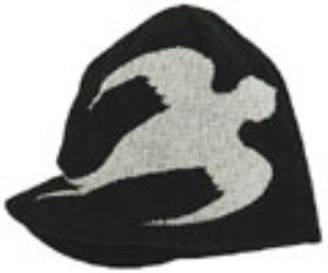 Jack Visor Beanie