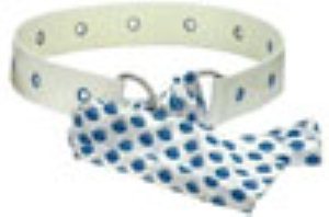 Kaden Tie Belt