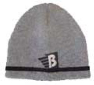 Logo Beanie