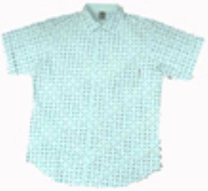 Louis Vizoochi Button-Down S/S Shirt
