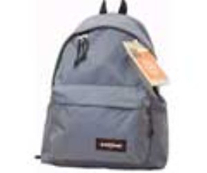 Padded Pakr Backpack