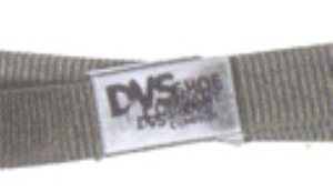 Paint Web Belt