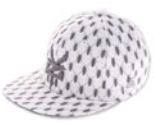 Roach Flexfit Cap