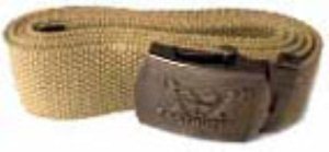 Robot Web Belt