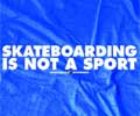 Skateboarding Is Not A Sport T-Shirt