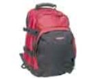 Skinner Backpack
