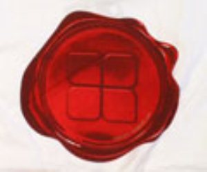 Snob Glob S/S T-Shirt