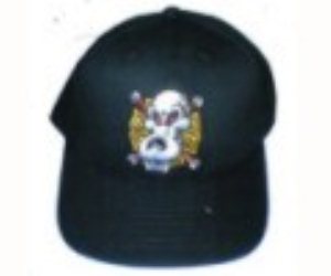 Sumner Skull Flexfit Cap