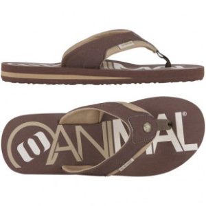 Animal Flip Flops | Animal Jekyl Logo Sandals - Brown