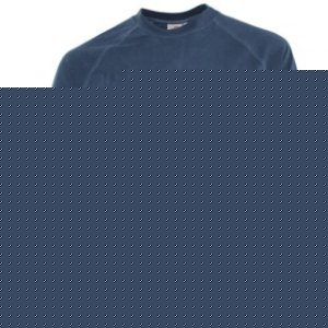 Carhartt Sweater | Carhartt Capital Sweat Tee Sweatshirt - Federal Blue