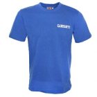 Carhartt T-Shirt | Carhartt College Script Ss T Shirt - Alpine White