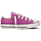 Converse Shoes | Converse All Stars Chuck Taylor Ox Shoes - Iris Orchid