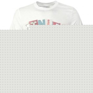 Etnies T-Shirt | Etnies Signage Arch Ss T-Shirt - White