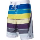 Fox Racing Boardshort | Fox Flatline Boardshort - Multi