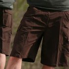 Lightboard Shorts | Lightboard Big Ben Walkshorts - Coffee