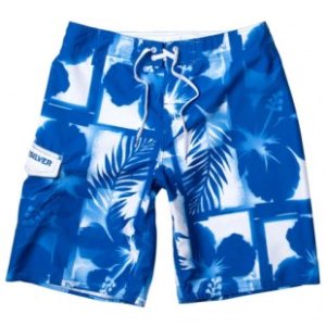 Quiksilver Boardshorts | Quiksilver Chewlips 21 Boardshorts - Royal