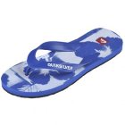 Quiksilver Sandals | Quiksilver Flower Flip Flops - Blue White