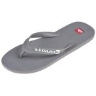 Quiksilver Sandals | Quiksilver Molokai Flip Flops - Grey Light Grey