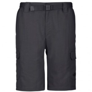 The North Face Walk Shorts | North Face Paramount Cargo Short - Asphalt Grey