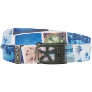 Animal Belt | Animal Edgewood Womens Web Belt - White