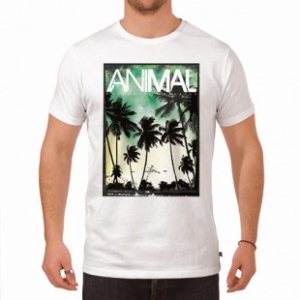 Animal T Shirt | Animal Llangian T Shirt - White