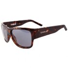 Carve Sunglasses | Carve Oceans Polarized Sunglasses – Tort