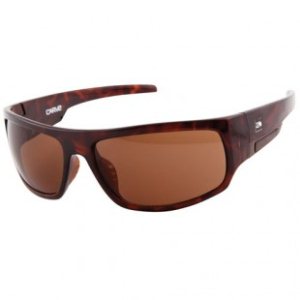 Carve Sunglasses | Carve Stomp Sunglasses - Tort