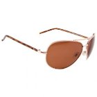 Carve Sunglasses | Carve Top Dog Polarized Sunglasses - Gold