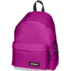 Eastpak Rucksack | Eastpak Padded Pakr Backpack - Slurpydurp Purp