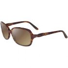 Oakley Sunglasses | Oakley Obligation Womens Sunglasses - Havana ~ Dark Brown Gradient