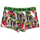 Pull In Underwear | Pull-In Shorty Lycra Pants - Graziela